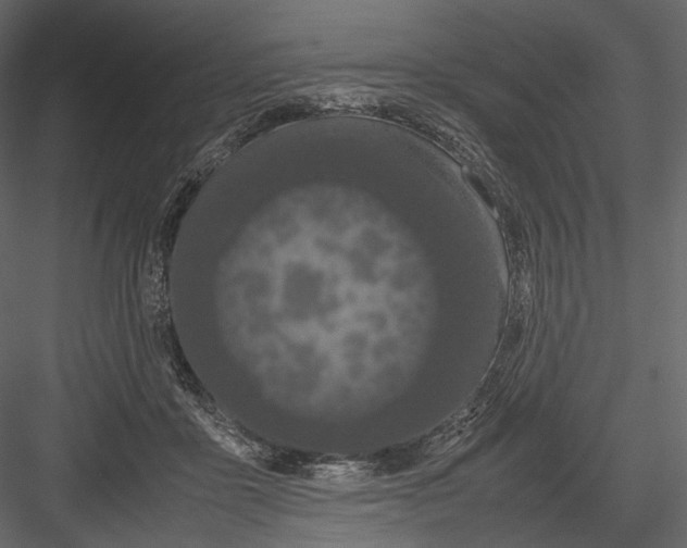 X0000082970411200702230012