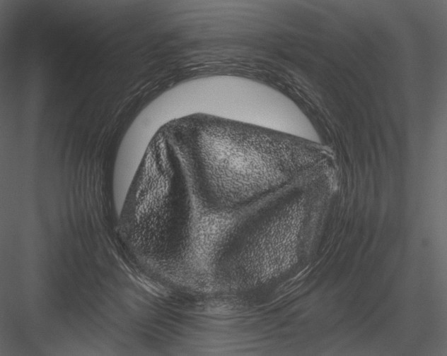 X0000082970412200702230012