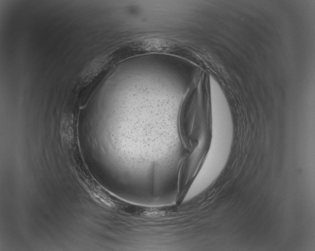 X0000082970413200702230012