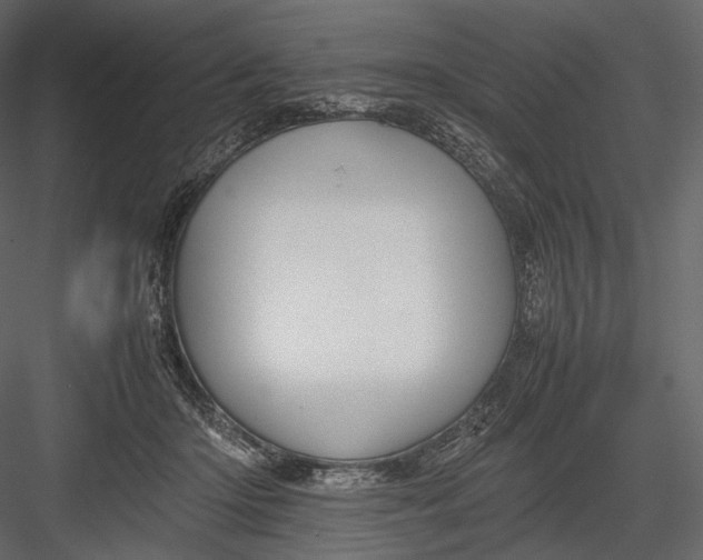 X0000082970414200702230012