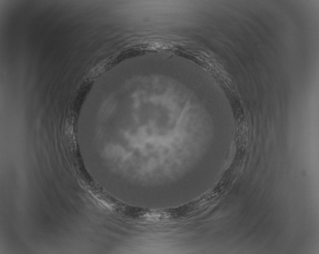 X0000082970415200702230012