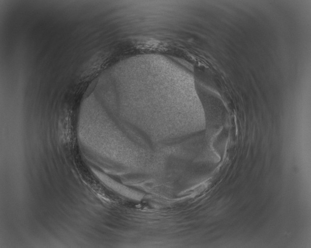 X0000082970416200702230012