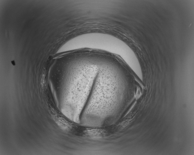 X0000082970417200702230012