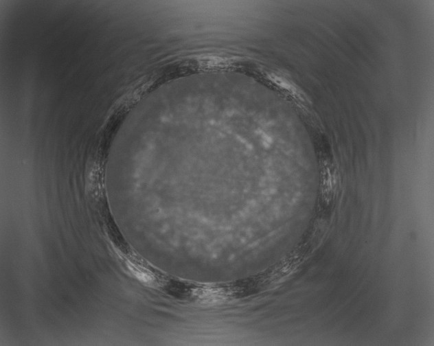 X0000082970419200702230012