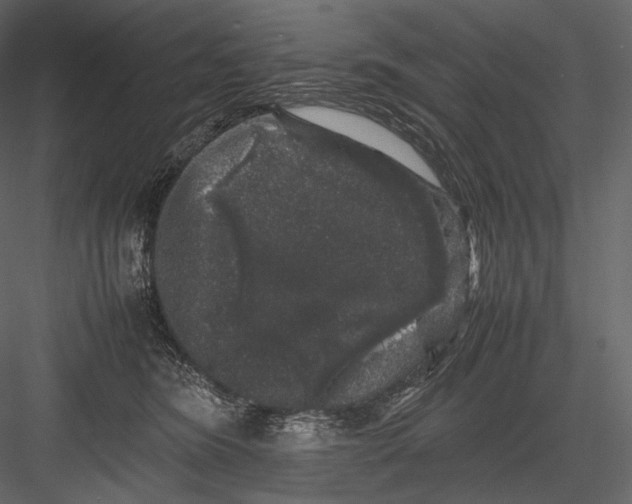 X0000082970420200702230012