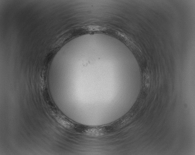 X0000082970422200702230012