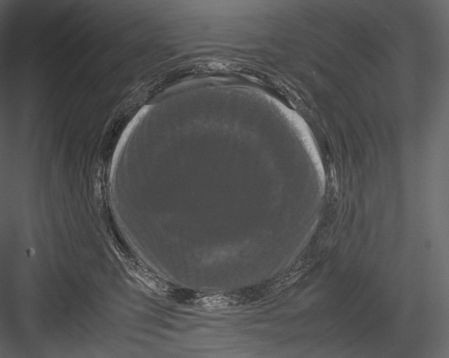 X0000082970423200702230012