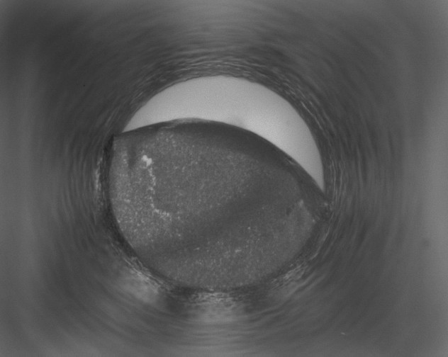 X0000082970424200702230012