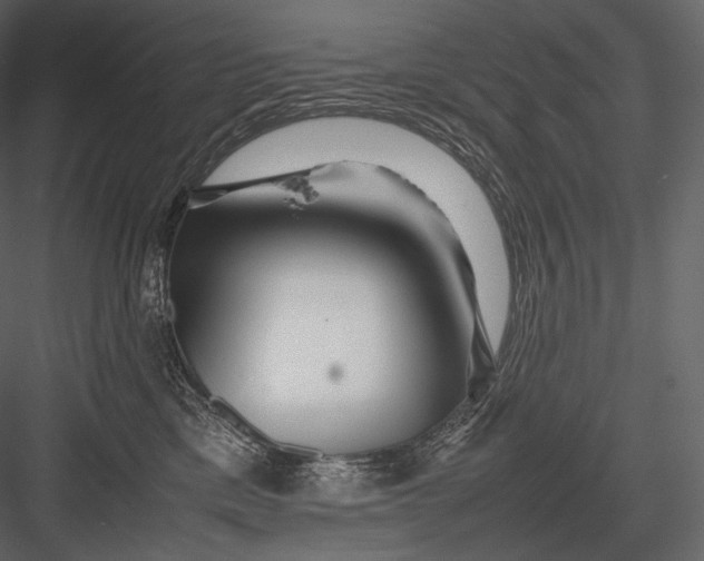 X0000082970425200702230012