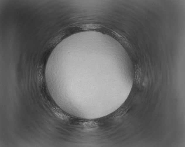 X0000082970426200702230012