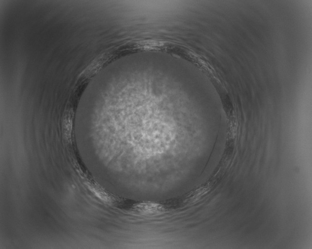 X0000082970427200702230012