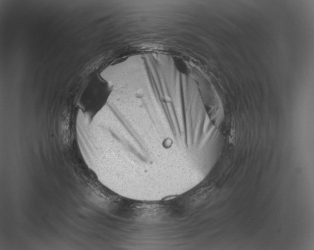 X0000082970428200702230012