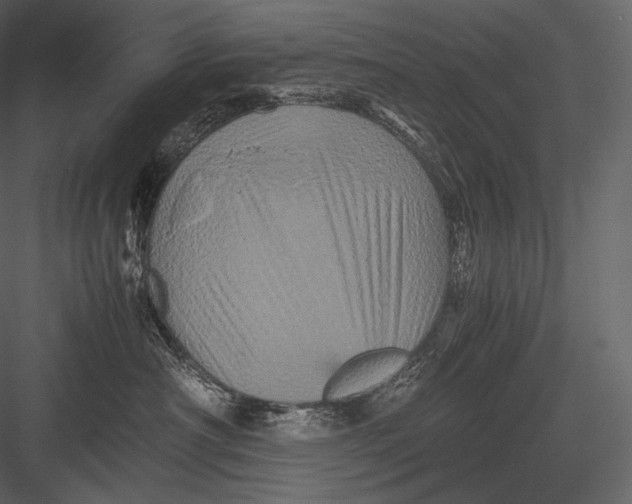 X0000082970430200702230012