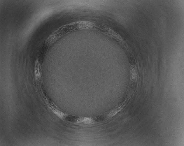 X0000082970431200702230012