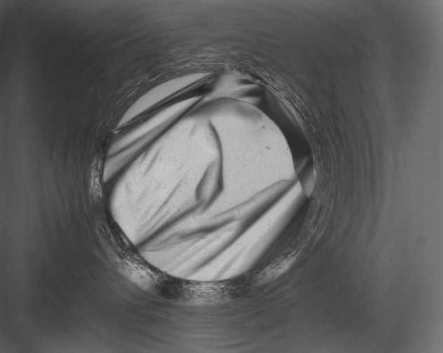 X0000082970432200702230012