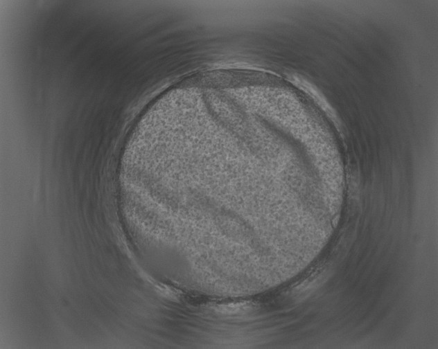 X0000082970433200702230011