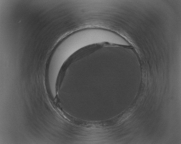 X0000082970434200702230011