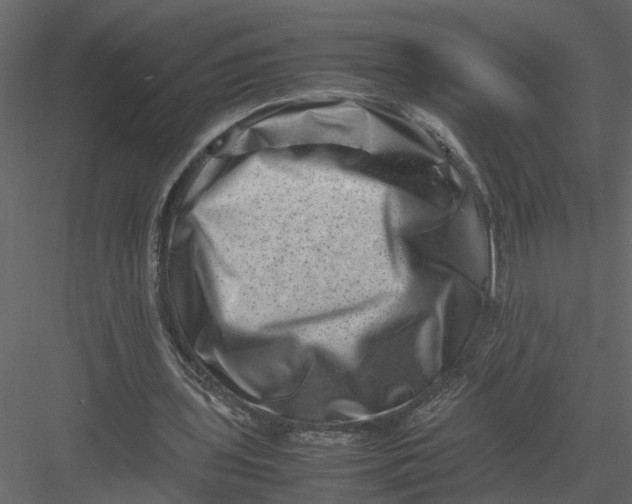 X0000082970435200702230011