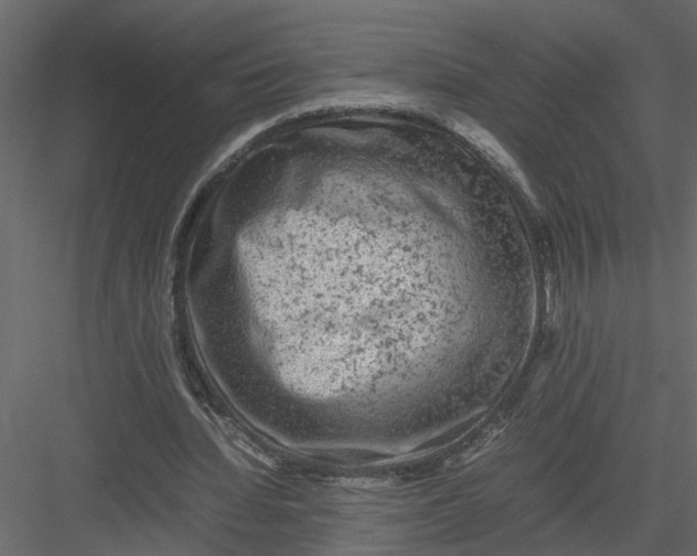 X0000082970436200702230011