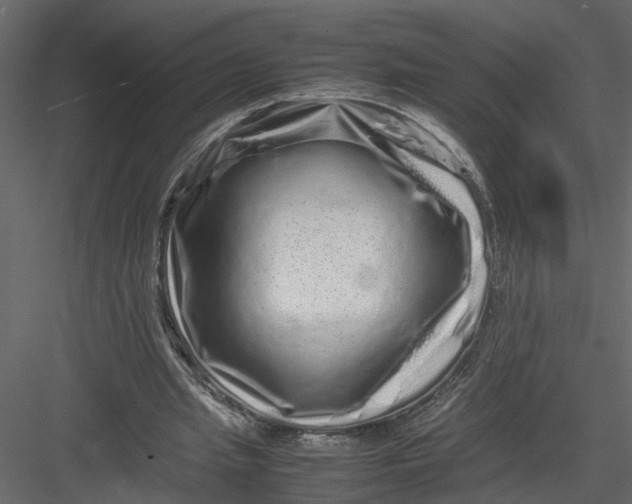 X0000082970437200702230011