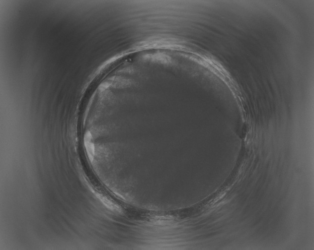 X0000082970438200702230011