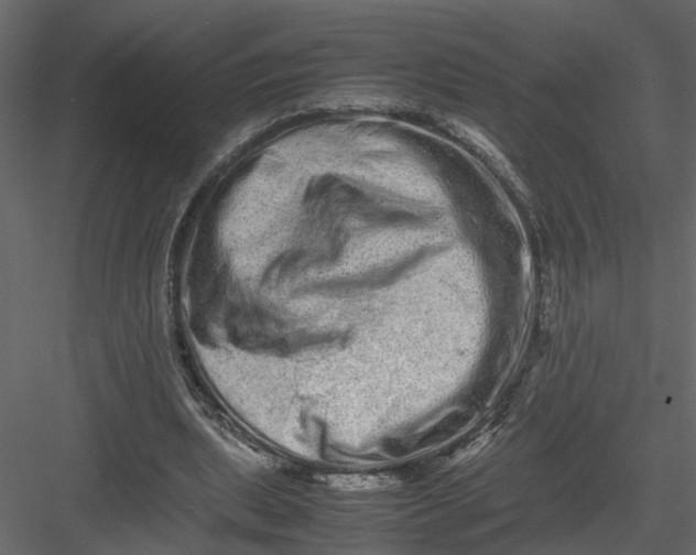 X0000082970439200702230011