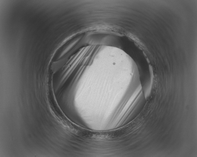 X0000082970440200702230011