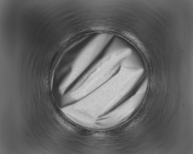 X0000082970441200702230011