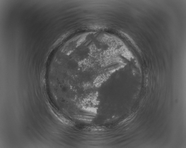 X0000082970443200702230011