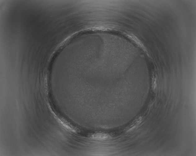 X0000082970444200702230011