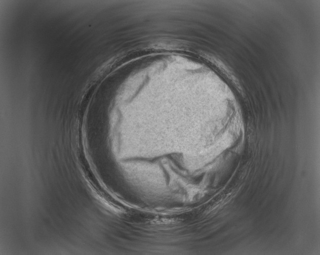 X0000082970445200702230011