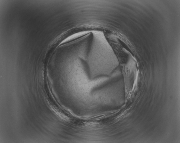 X0000082970446200702230011