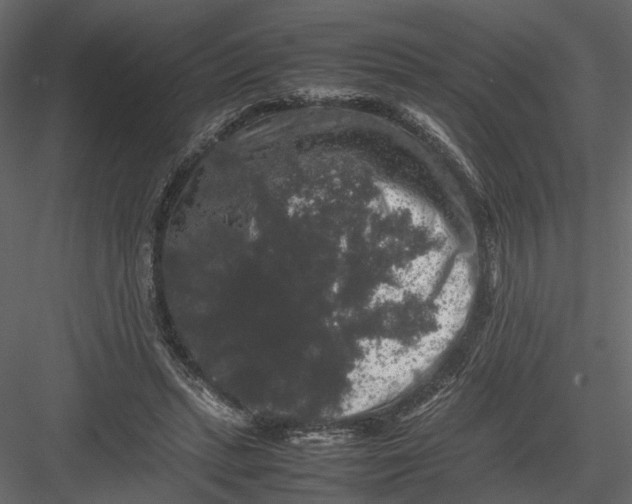 X0000082970447200702230011