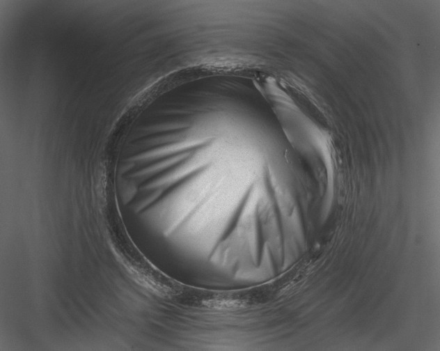 X0000082970448200702230011