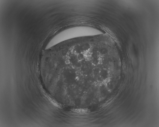 X0000082970449200702230011