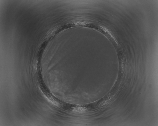 X0000082970451200702230011