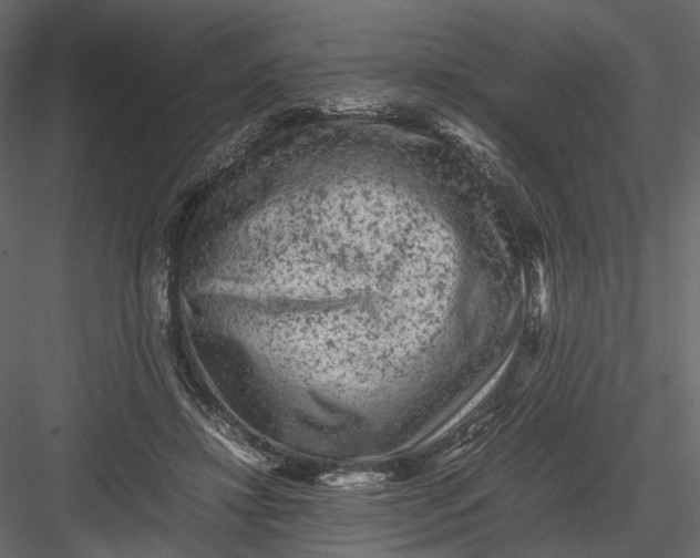 X0000082970452200702230011