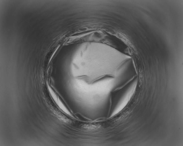 X0000082970453200702230011