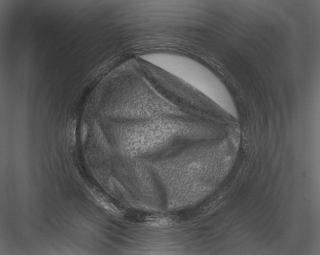 X0000082970454200702230011