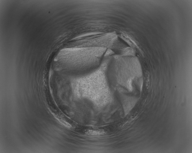 X0000082970455200702230011