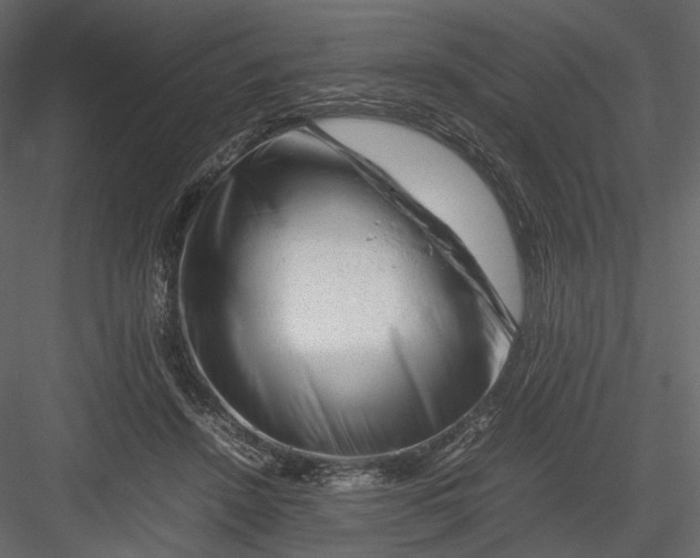 X0000082970456200702230011