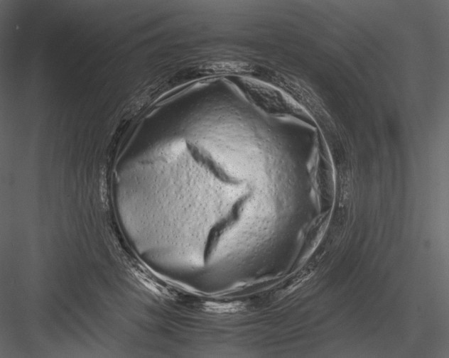 X0000082970457200702230011