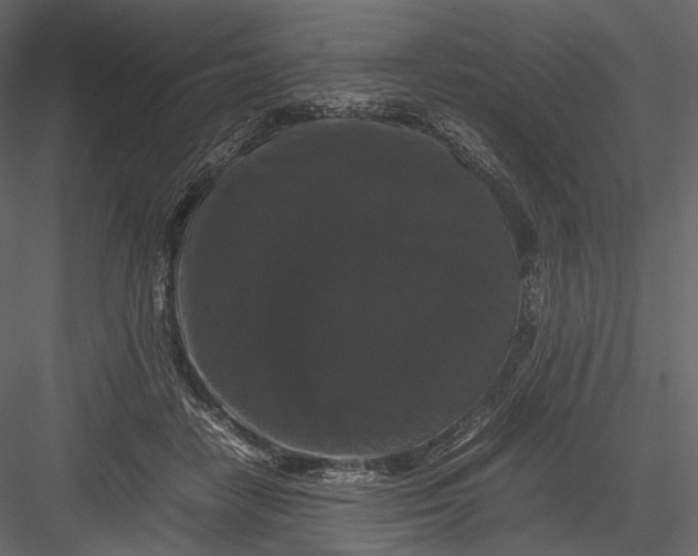 X0000082970458200702230011