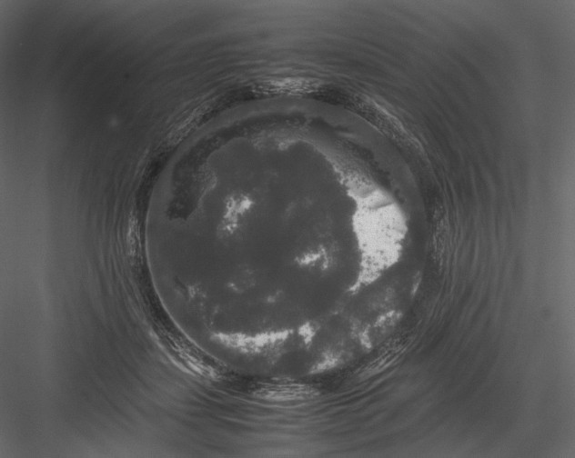 X0000082970459200702230011