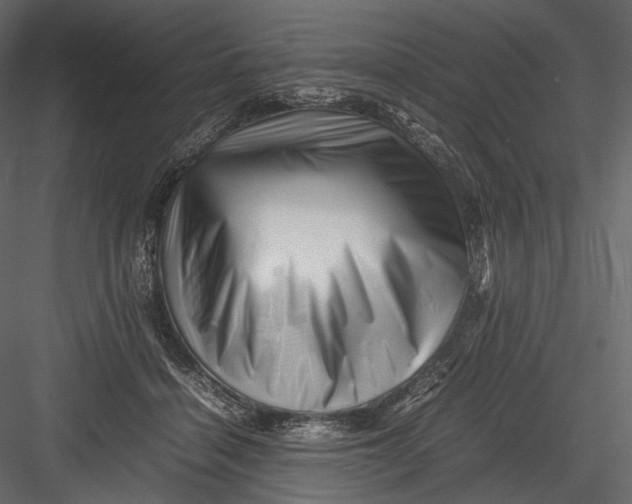 X0000082970460200702230011