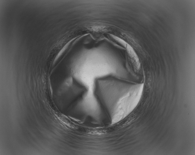 X0000082970461200702230011