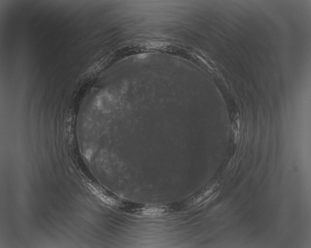 X0000082970462200702230011