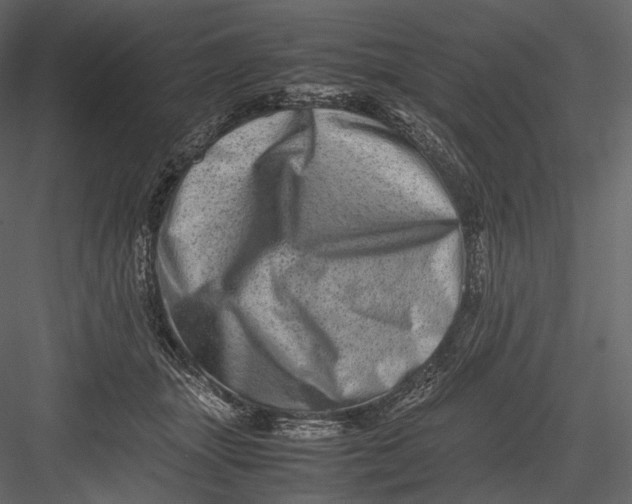 X0000082970463200702230011