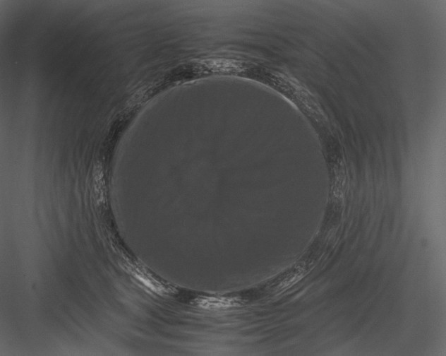 X0000082970465200702230011