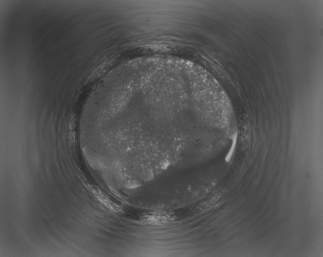 X0000082970466200702230011